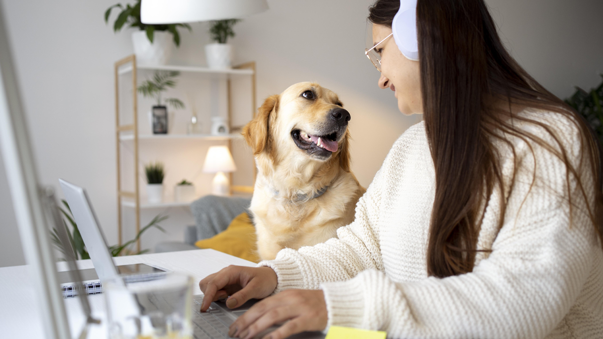 Why You Should Trust Us